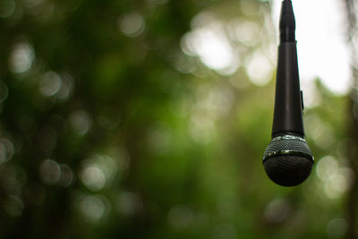Close-up of lighting equipment hanging from tree