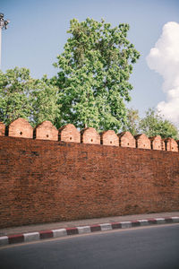 View of plant against wall