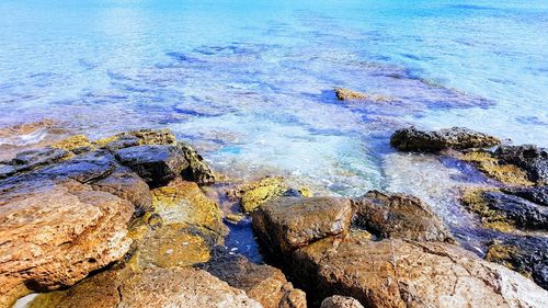 High angle view of rocks on shore