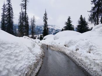 Snow covered land and trees against sky,solang valley, himachal pradesh