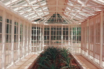 Interior of greenhouse