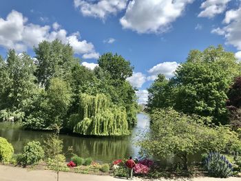 Plants by lake against sky