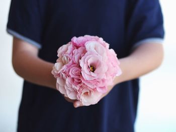 Close-up of pink rose