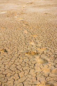 High angle view of cracked road