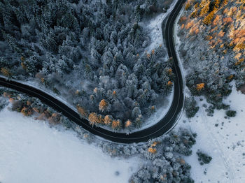 Snow covered trees and curved road from above at aunrise in the forest. winter nature background.