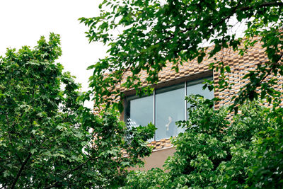 From below through window view of female in stylish outfit standing in modern house with geometric elements on walls near green trees and plants in daytime