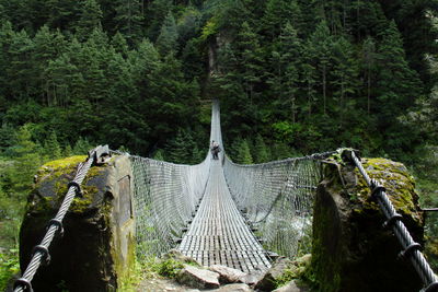 Mid distance view of person on footbridge in forest