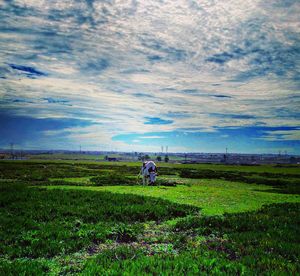 Scenic view of field against sky