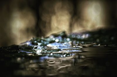 Close-up of water drop on surface