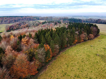 High angle view of trees on field against sky