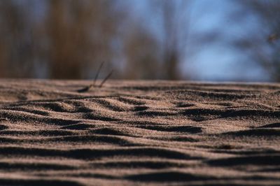 Surface level of sand