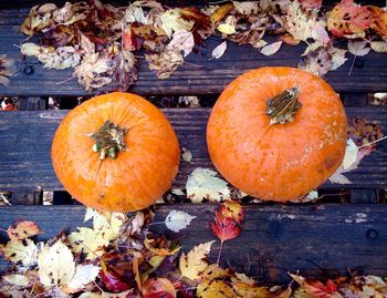 High angle view of pumpkins on autumn leaves