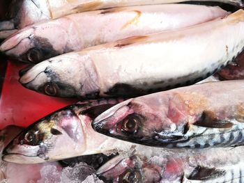 Close-up of fish for sale in market