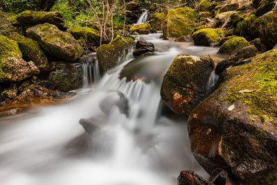 Stream flowing through rocks in forest