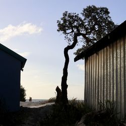 Silhouette trees on field by sea against sky