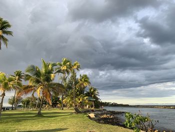 Palm trees on beach against cloudy sky