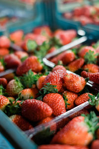 Close-up of strawberries for market sale