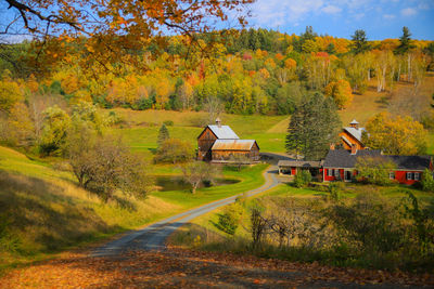 Road amidst trees and houses on field during autumn