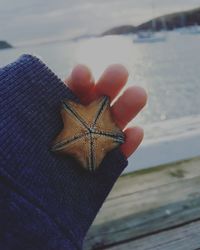 Close-up of hand holding leaf against sky