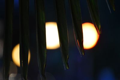 Close-up of curtain at sunset