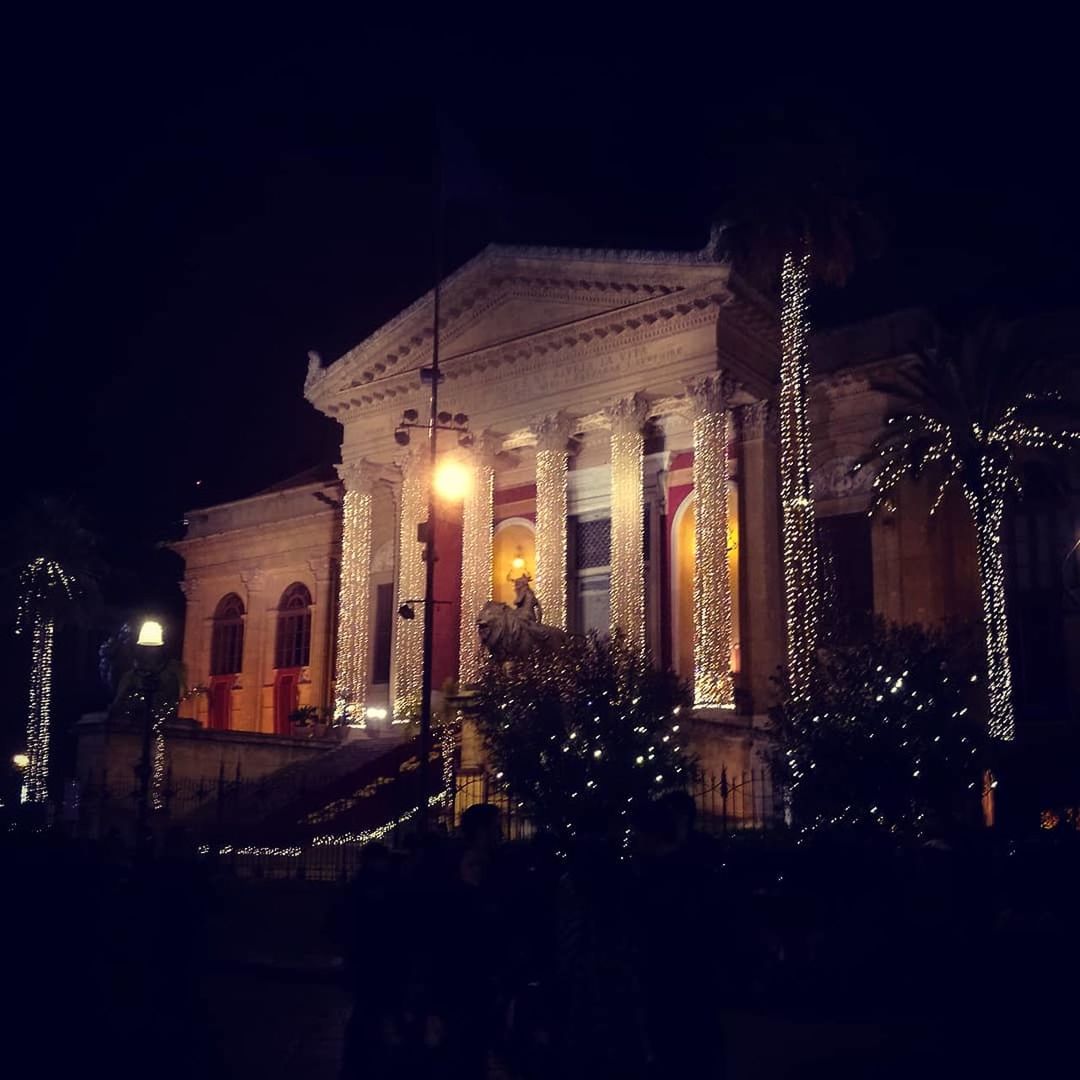 night, illuminated, architecture, building exterior, built structure, building, city, dark, plant, no people, window, street, tree, outdoors, lighting equipment, nature, celebration, street light, christmas