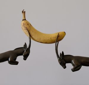 Low angle view of fruit against white background