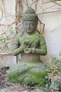 Close-up of statue