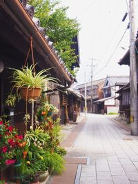 Narrow walkway leading to building