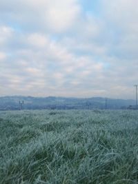 Scenic view of grassy field against cloudy sky