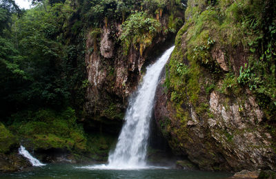 Scenic view of waterfall in forest