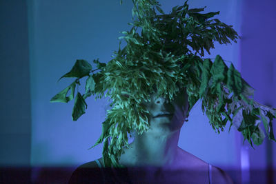 Low angle view of tree against sky