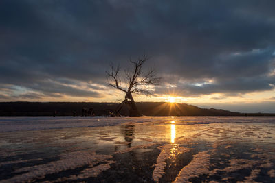 Bare trees on snow covered land against sky during sunset