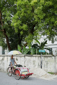 Man riding bicycle against trees