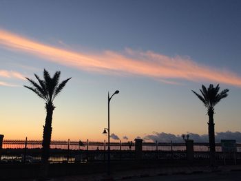 Silhouette palm trees on beach against sky during sunset