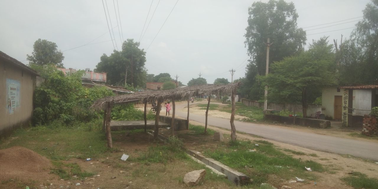 plant, tree, architecture, built structure, transport, nature, sky, building exterior, rural area, building, no people, cable, house, day, electricity, village, transportation, outdoors, residential area, power line, residential district, track, city