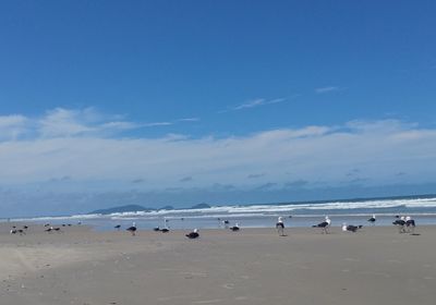 Scenic view of beach against blue sky