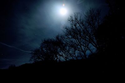 Low angle view of silhouette tree against sky at night