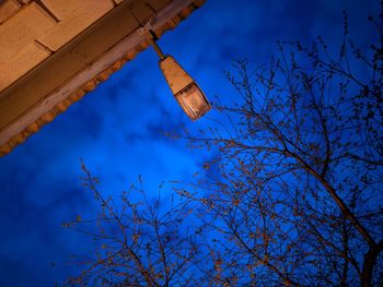 Low angle view of bare tree against building