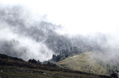 Scenic view of landscape