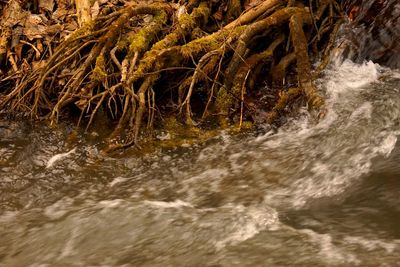 Close-up of water flowing in river