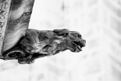 Low angle view of statue