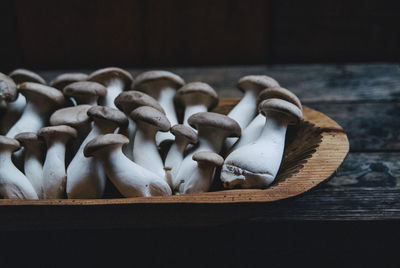 Close-up of edible mushrooms in tray on table