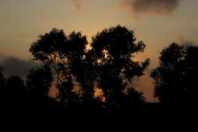 Low angle view of silhouette trees against sky during sunset