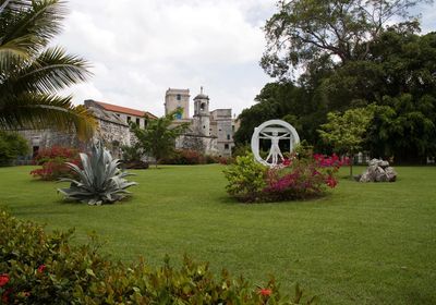 View of plants against built structures