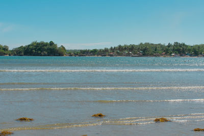 Scenic view of sea against clear sky