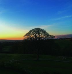 Silhouette trees on field against clear sky at sunset