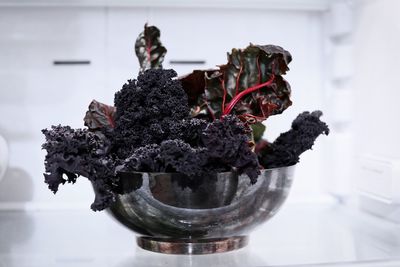 Close-up of potted plant on table