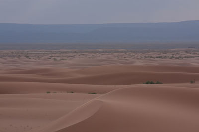 Scenic view of desert