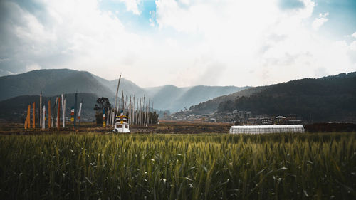 Scenic view of agricultural field against sky