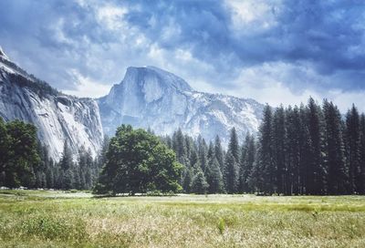 Scenic view of grassy field against cloudy sky